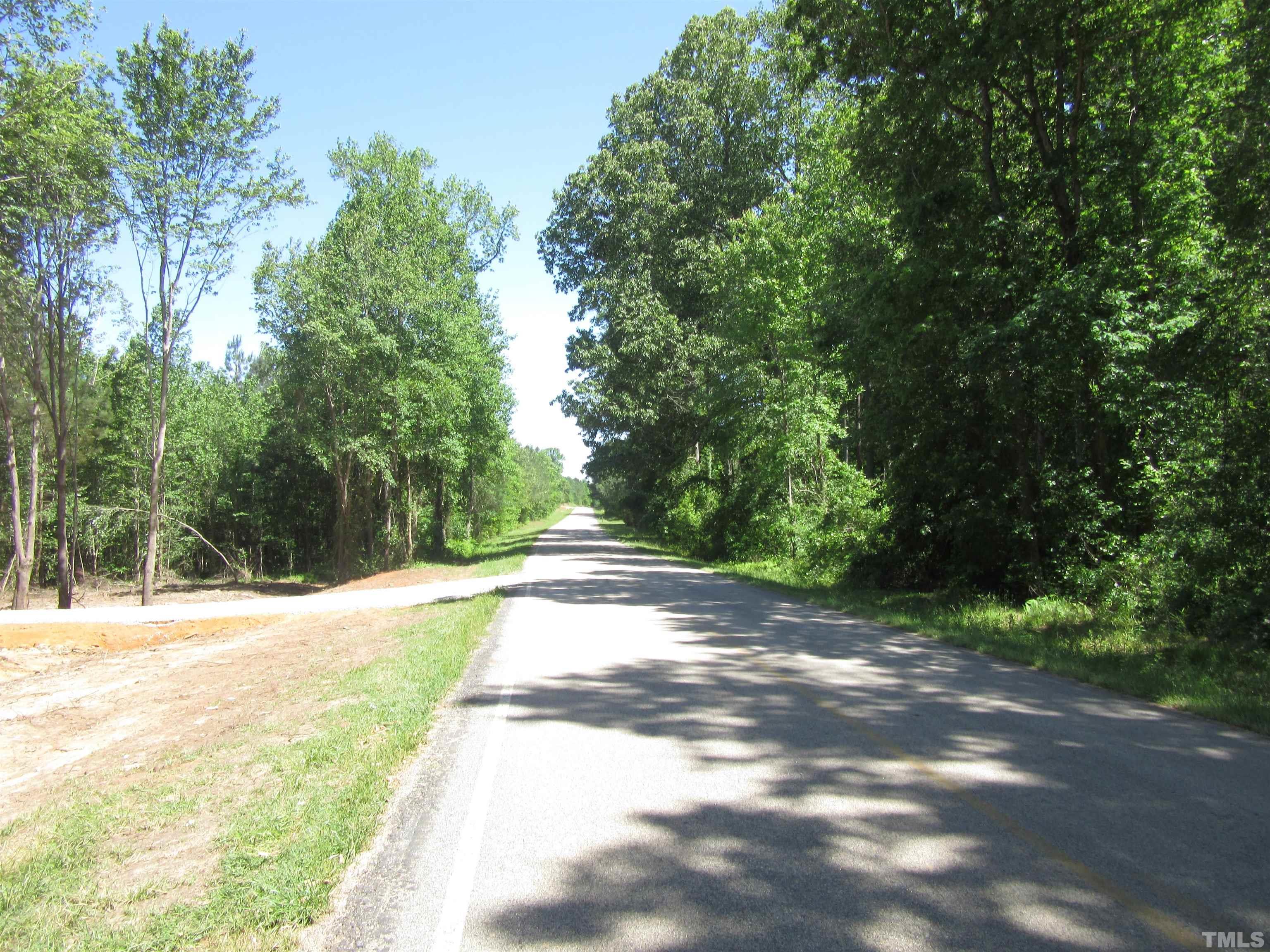 Lot 1 Frazier Road, Unit 13 233 ACRES Spring Hope, NC 27882 - Photo 1 of 4 a view of a yard with plants and trees