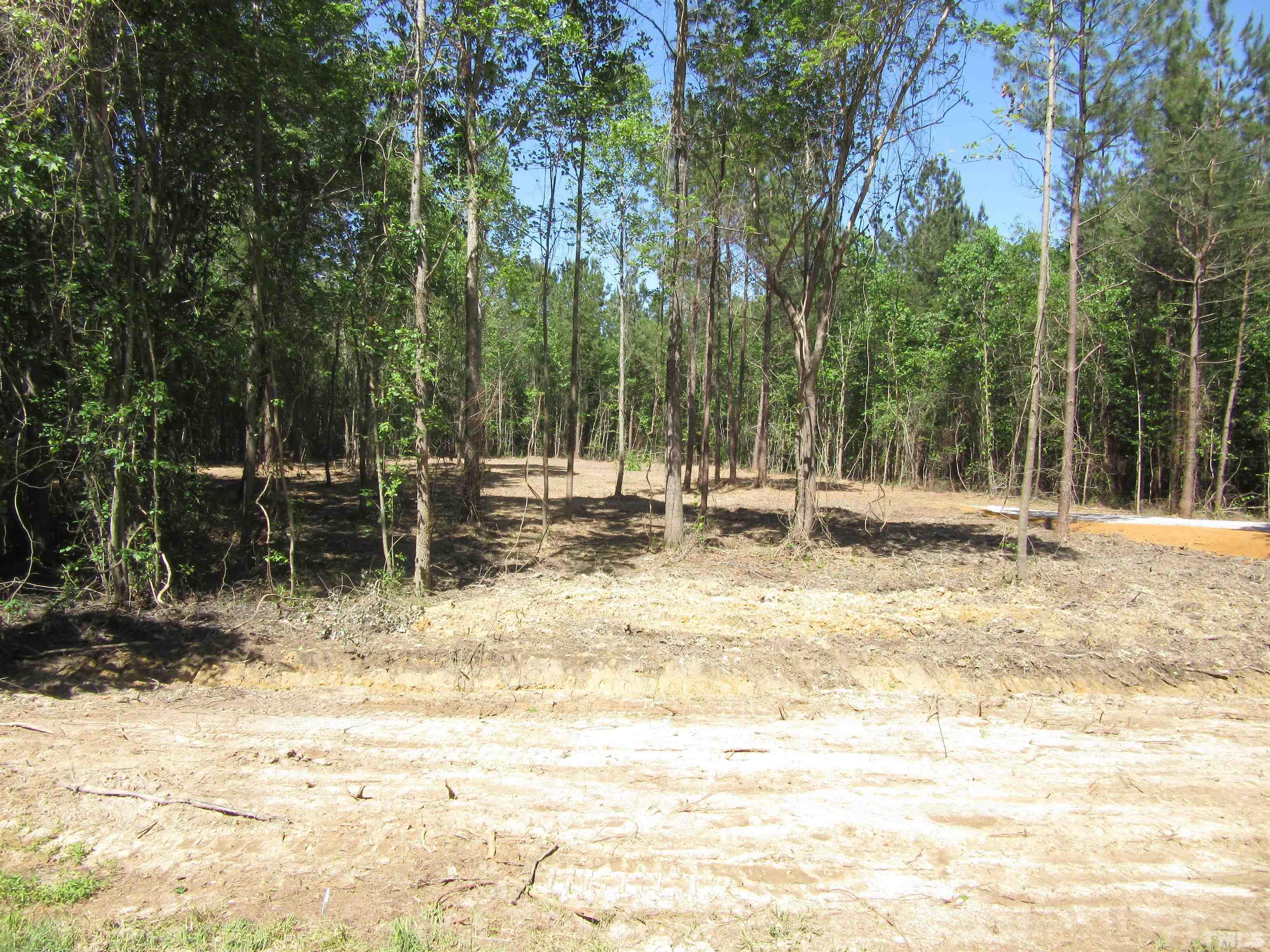Lot 1 Frazier Road, Unit 13 233 ACRES Spring Hope, NC 27882 - Photo 2 of 4 a backyard of a house with table and chairs