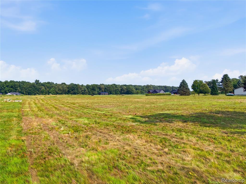 0 Gregory Ridge Road Fowlerville, MI 48836 - Photo 10 of 11