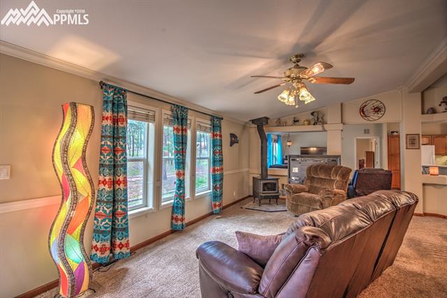 203 Red Cloud Road Florissant, CO 80816 - Photo 5 of 26