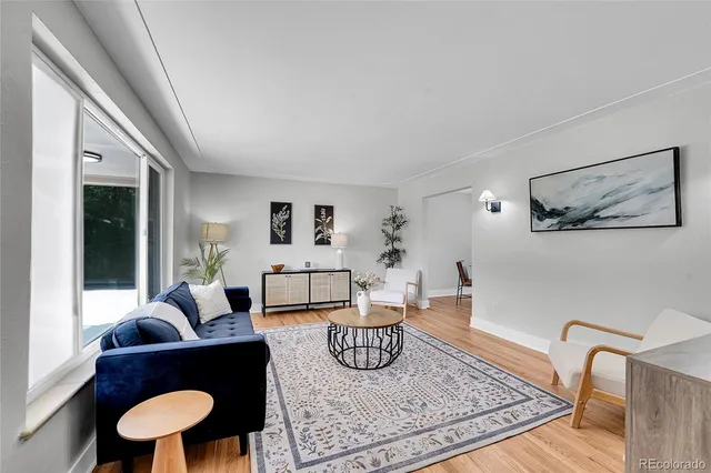 a living room with furniture rug and window