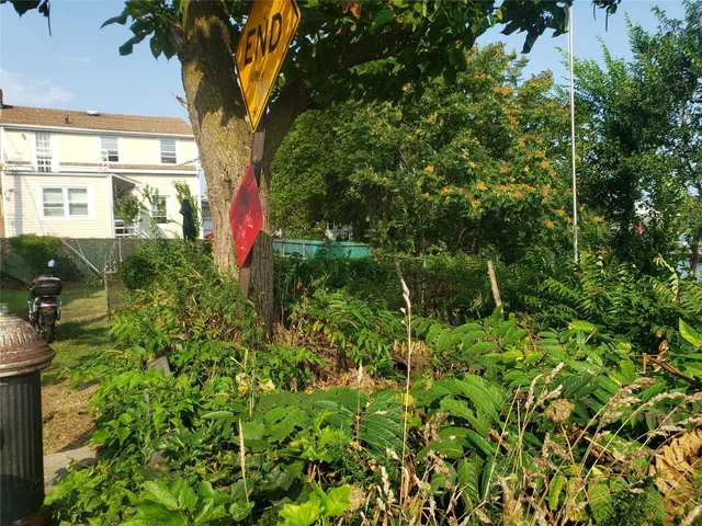 a view of a forest with trees