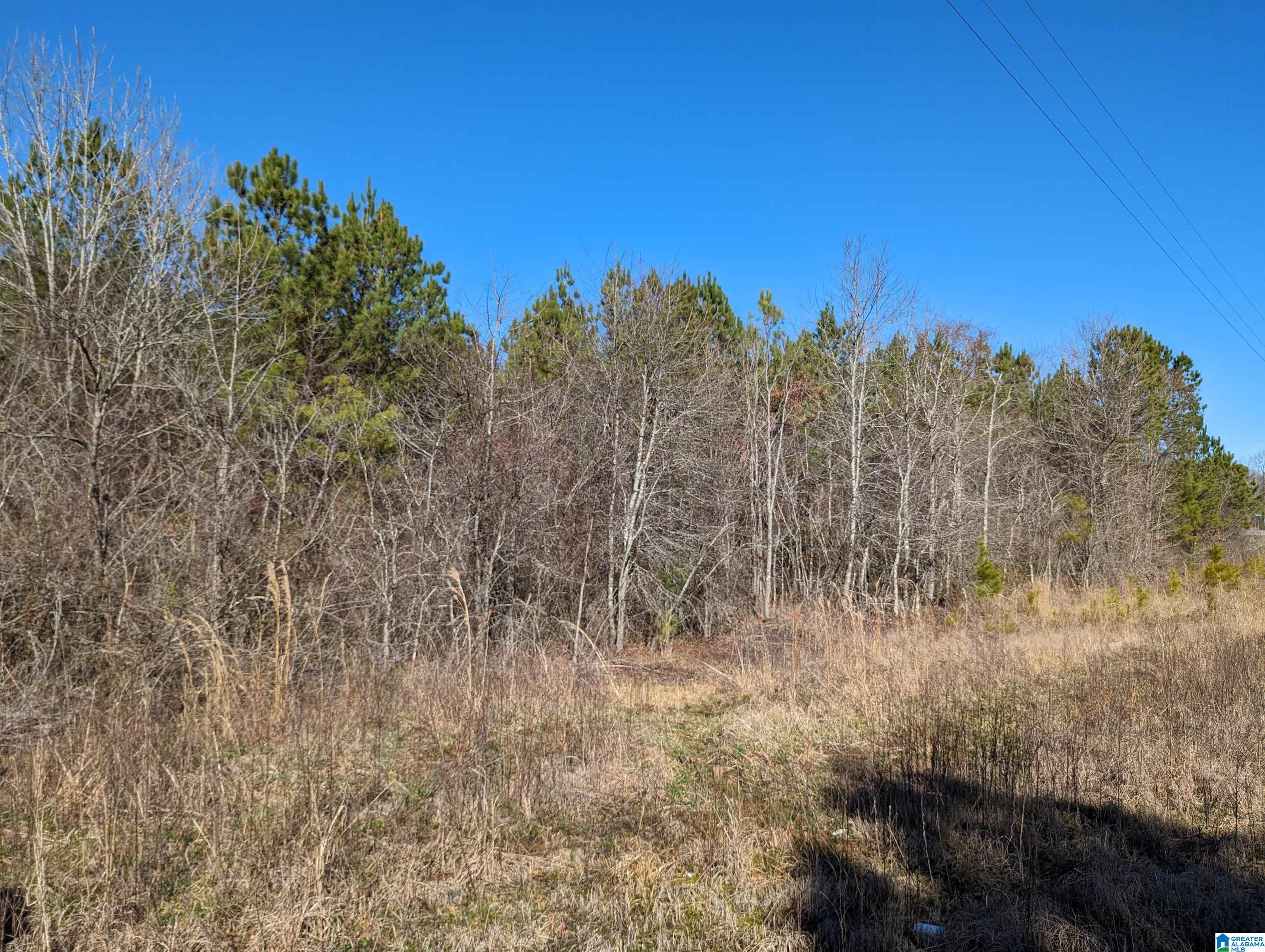 0 Chandler Springs Road Talladega, AL 35160 - Photo 35 of 35