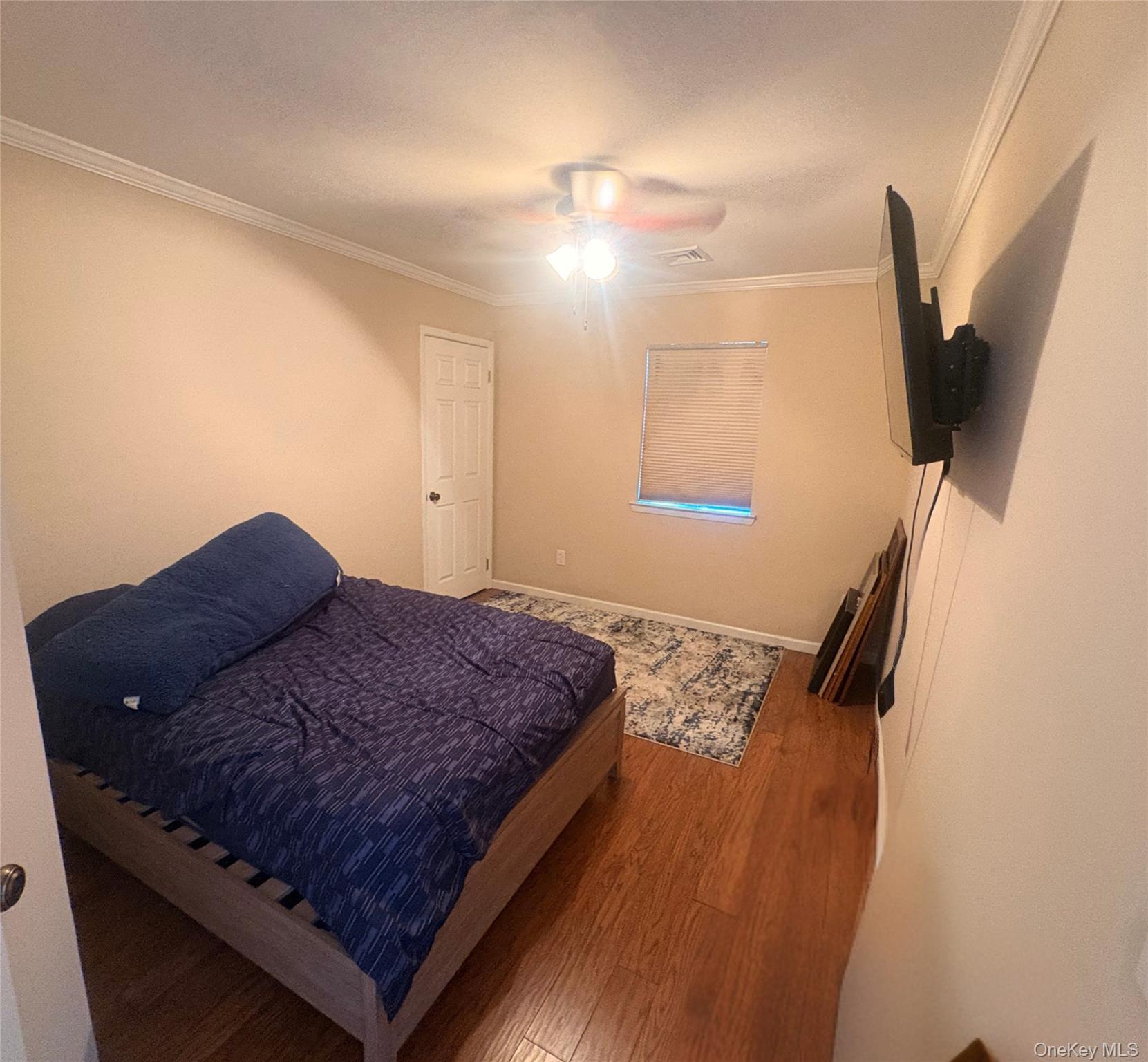 117 Scarlett Way Commack, NY 11725 - Photo 14 of 26 Large Second Bedroom with Walk in Closet