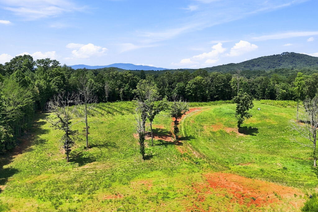 1175 Wolfcreek Road Murphy, NC 28906 - Photo 78 of 87 Gallery Image 78