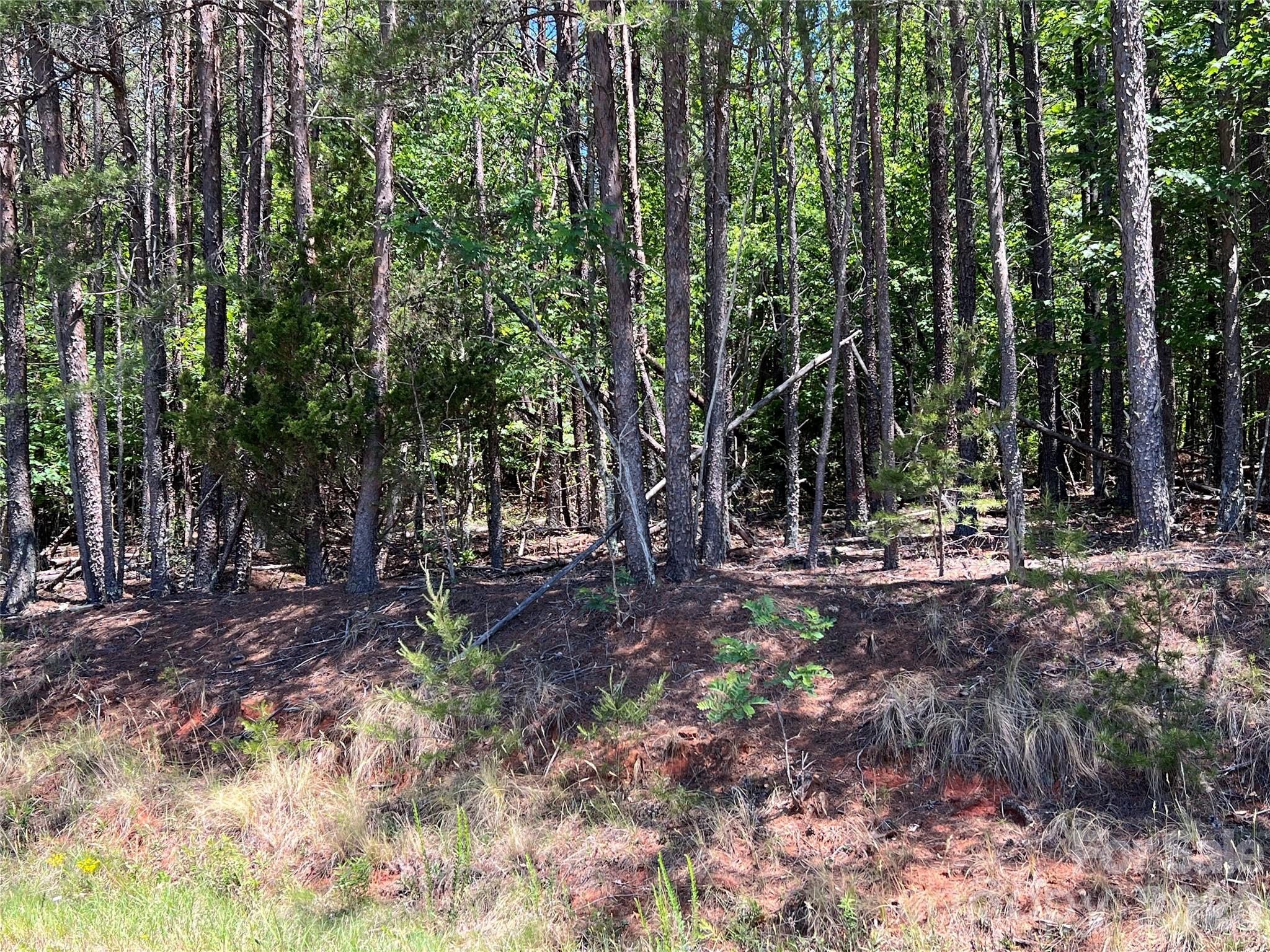 0 Luckadoo Mountain Road, Unit 177 Bostic, NC 28018 - Photo 10 of 11