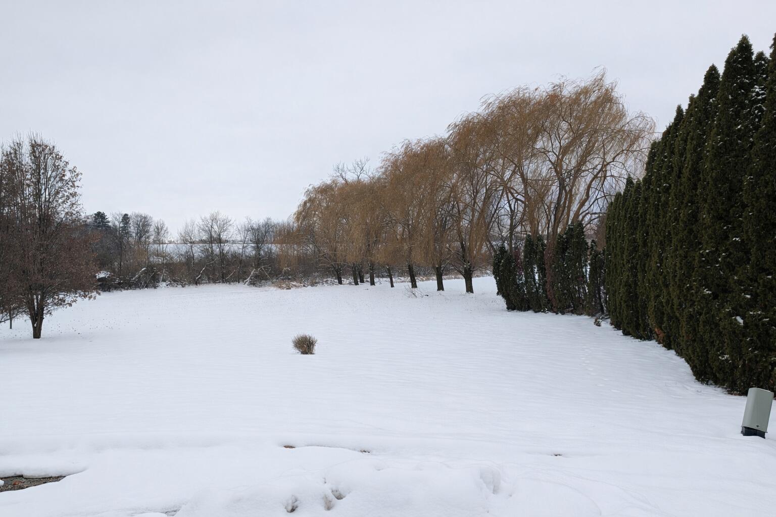 7873 East 99th Lane Crown Point, IN 46307 - Photo 1 of 5 a view of a snow with trees in the background