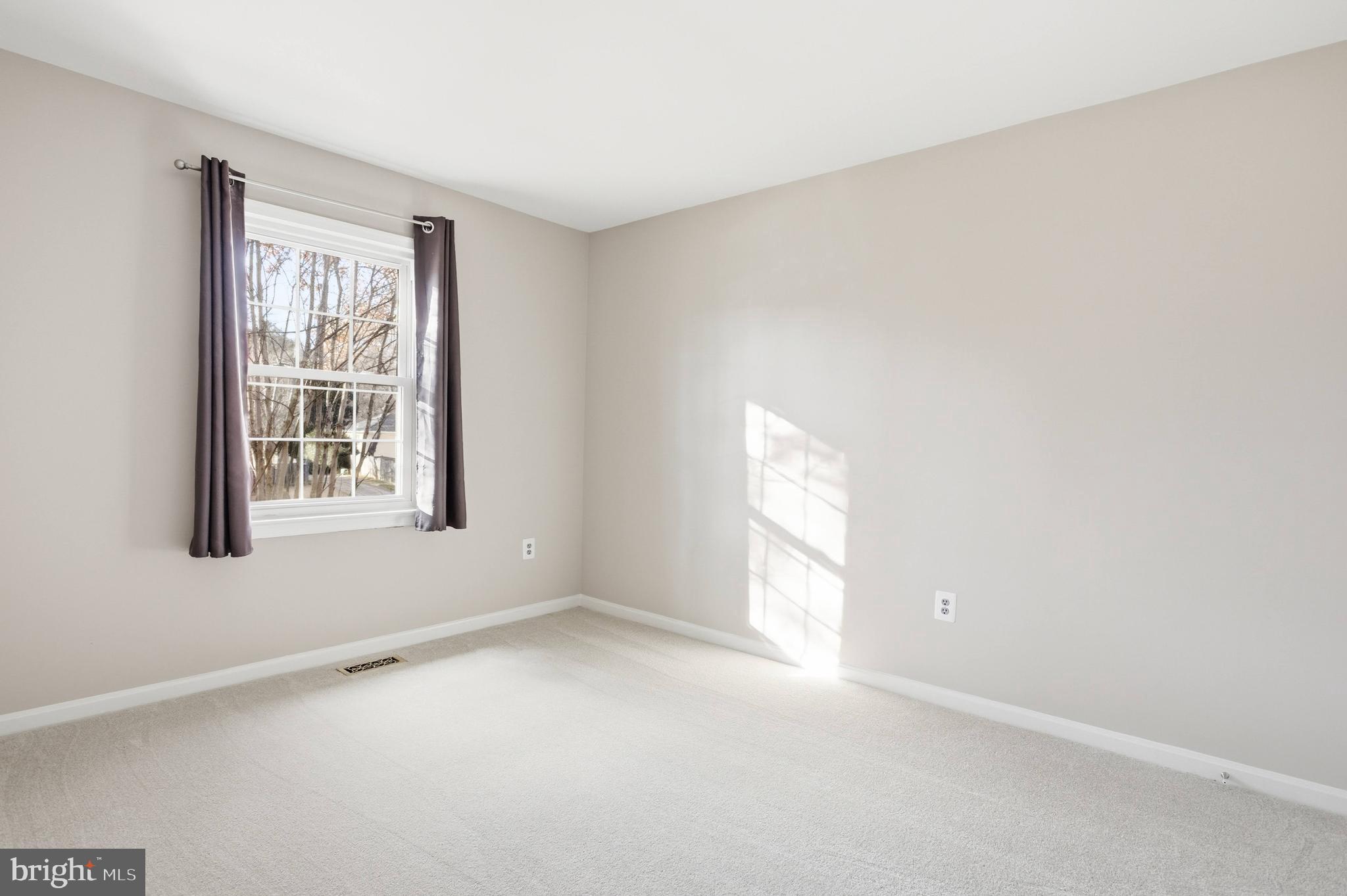 10127 Red Spruce Road Fairfax, VA 22032 - Photo 34 of 53