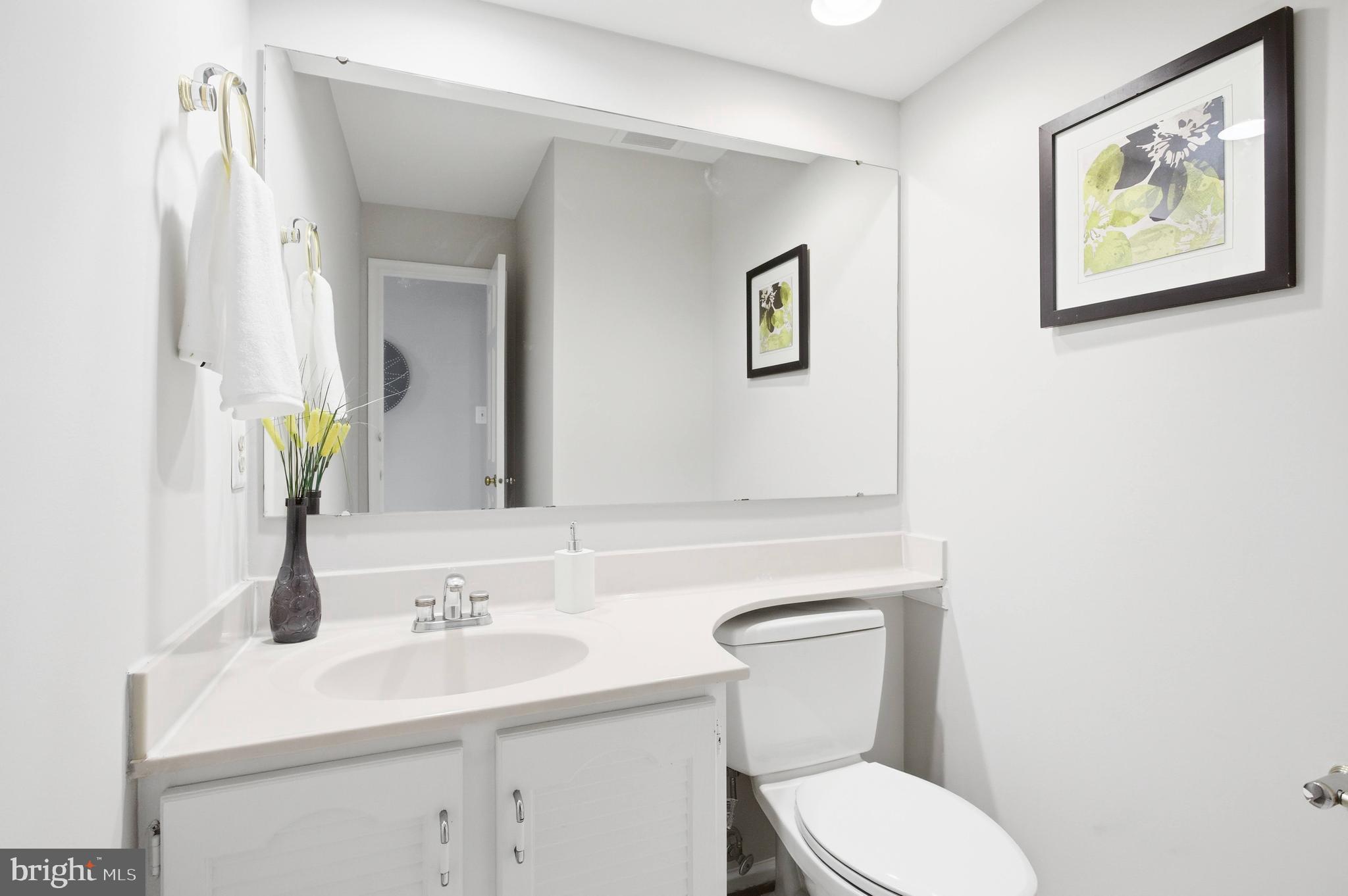 10127 Red Spruce Road Fairfax, VA 22032 - Photo 38 of 53 1/2 bath on main