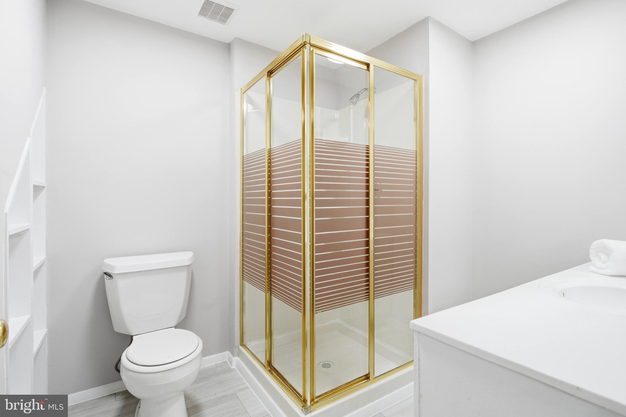 10127 Red Spruce Road Fairfax, VA 22032 - Photo 49 of 53 Basement full bath