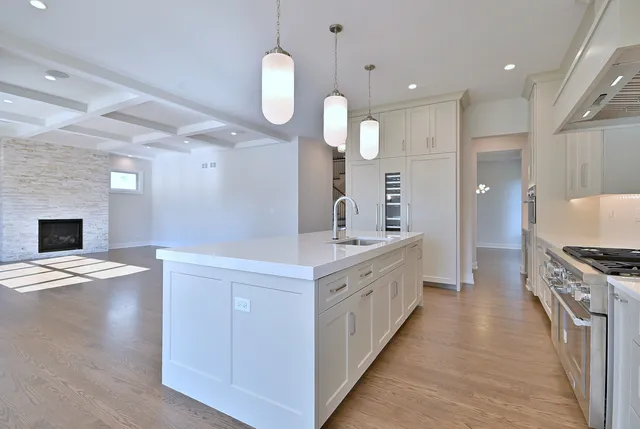 $1,675,000 | 456 North Elm Avenue, Elmhurst, IL 60126