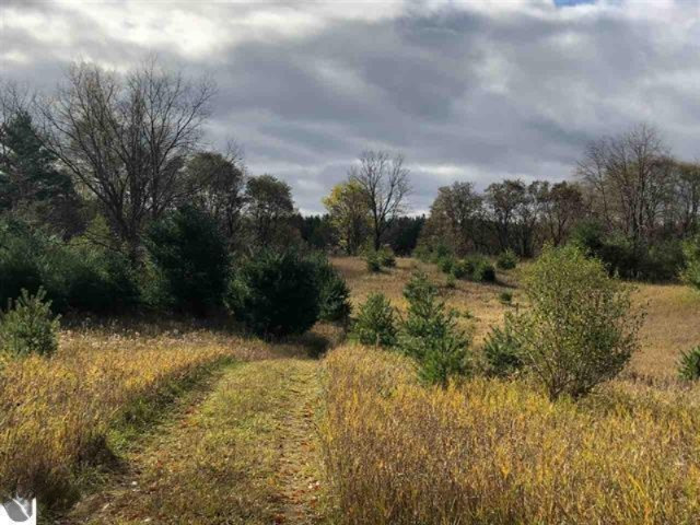 15169 22 Mile Road Tustin, MI 49688 - Photo 2 of 21 1854546-1