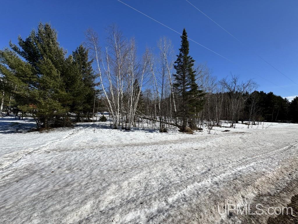 Tbd Bellaire Road Baraga, MI 49908 - Photo 15 of 20