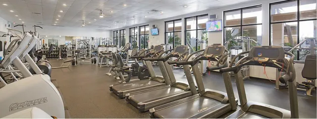 a view of a swimming pool with a garden