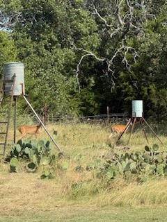 1983 Wendel-Ahrens Road Fredericksburg, TX 78624 - Photo 34 of 36