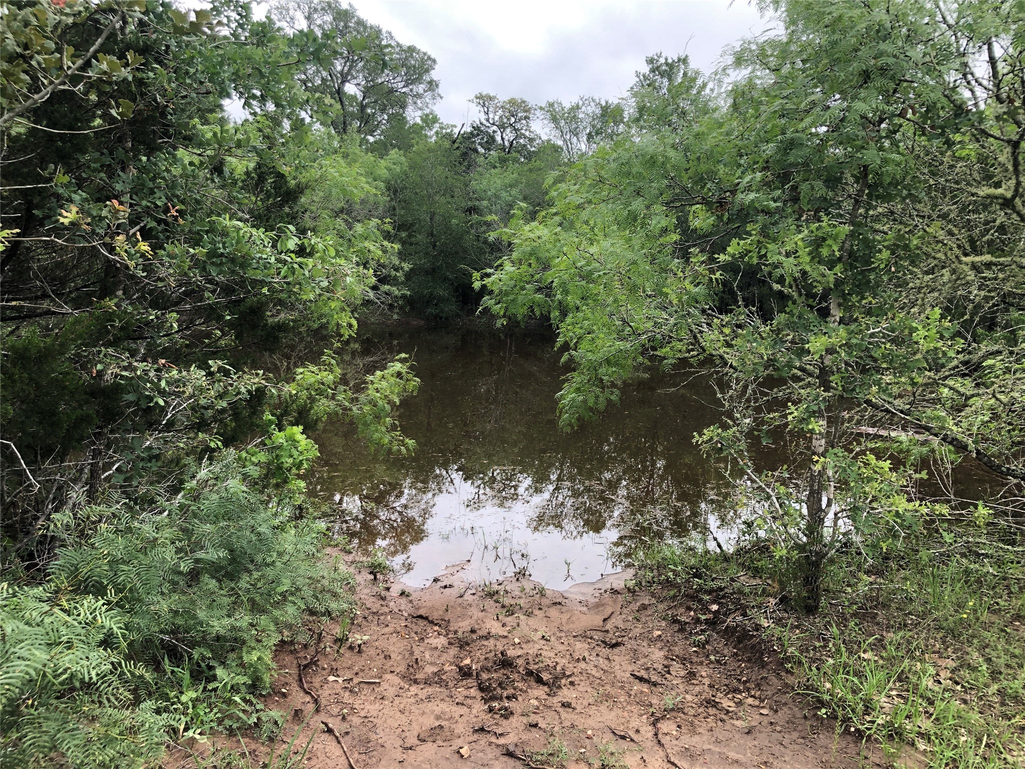 2810 West Old Lockhart Road Muldoon, TX 78949 - Photo 11 of 42 Interior small pond