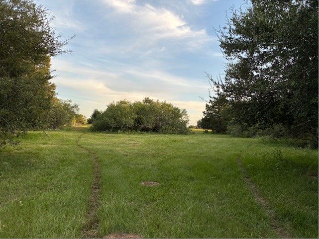 2810 West Old Lockhart Road Muldoon, TX 78949 - Photo 37 of 42 open grass