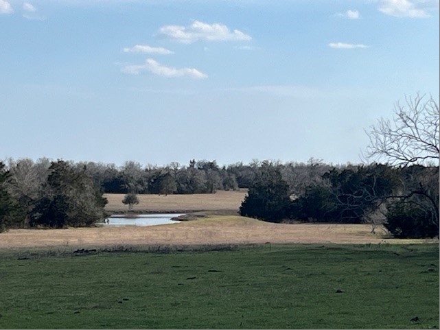 2810 West Old Lockhart Road Muldoon, TX 78949 - Photo 38 of 42 Pasture vie from middle cattle guard
