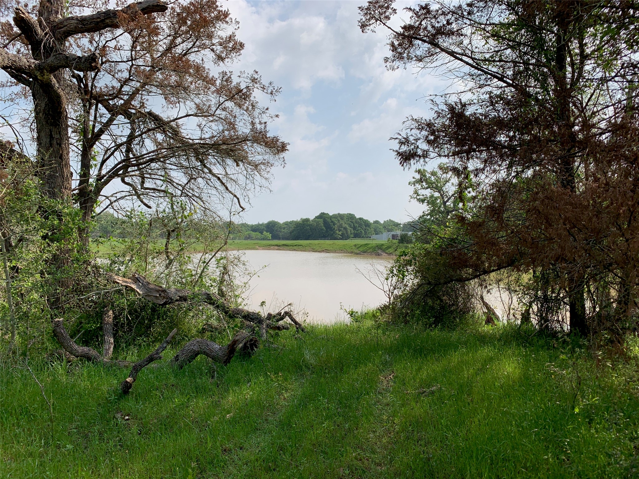 2810 West Old Lockhart Road Muldoon, TX 78949 - Photo 8 of 42 Lakeview of Barn