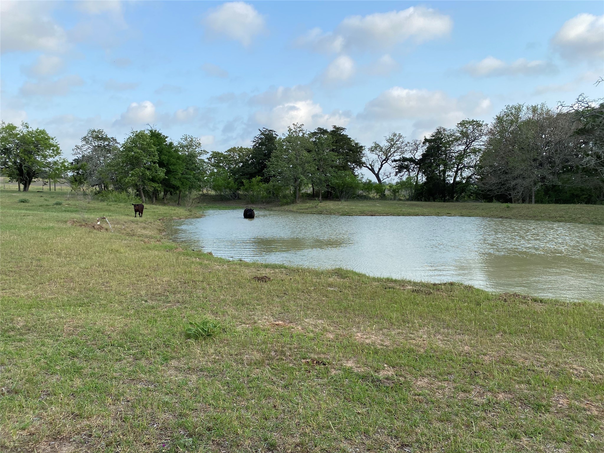 2810 West Old Lockhart Road Muldoon, TX 78949 - Photo 10 of 42 Pond in front of school bldg
