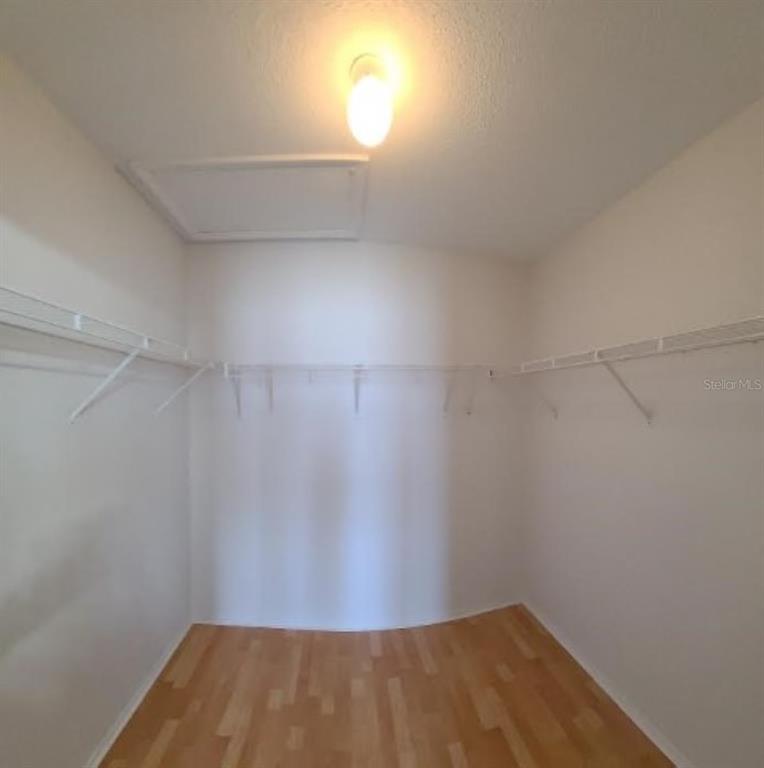 1501 Rincon Drive Wesley Chapel, FL 33544 - Photo 23 of 45 Gallery Image 23