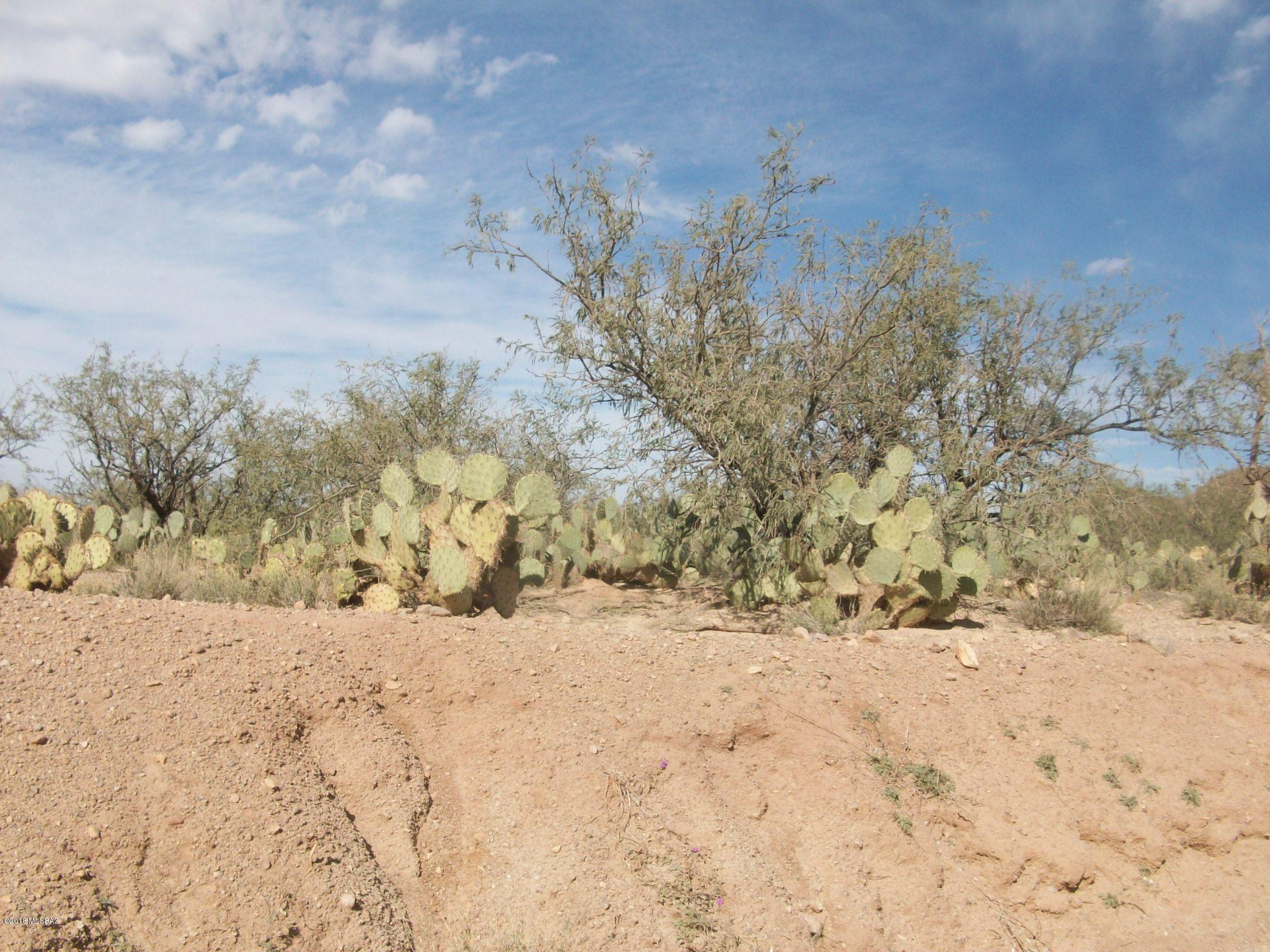 21944 South Helvetia Road Sahuarita, AZ 85629 - Photo 1 of 5