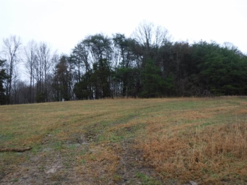 3 Arrowhead Road Moss, TN 38575 - Photo 3 of 11 a view of outdoor space with trees
