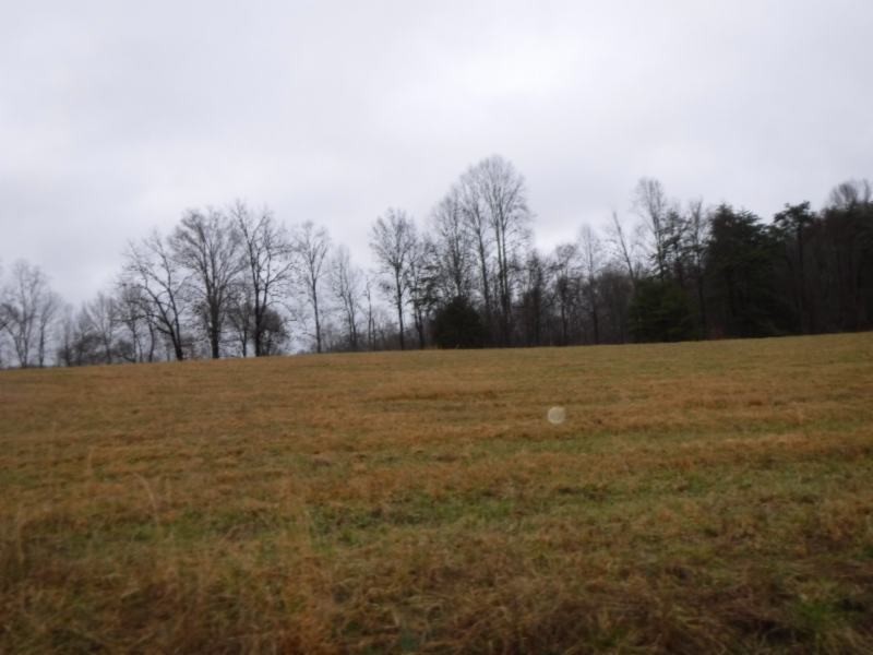 3 Arrowhead Road Moss, TN 38575 - Photo 8 of 11 a view of open space with lots of trees