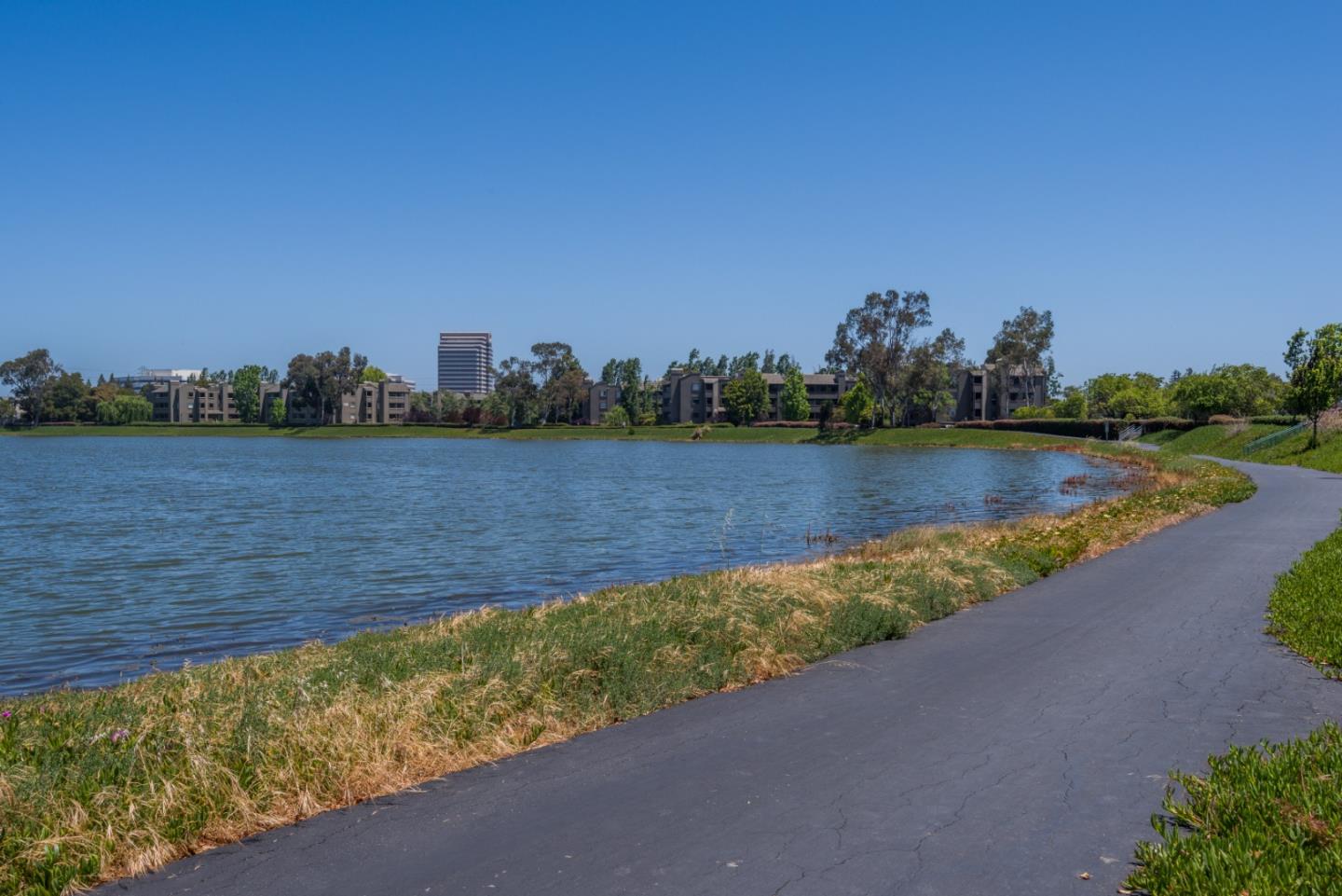720 Promontory Point Lane, Unit 2106 Foster City, CA 94404 - Photo 33 of 35 a view of a lake with houses in the back