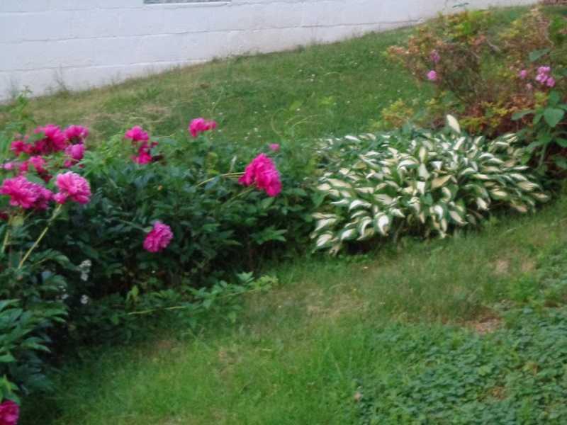 8 Crestview Drive McKees Rocks, PA 15136 - Photo 7 of 21 Other. View From Side Porch