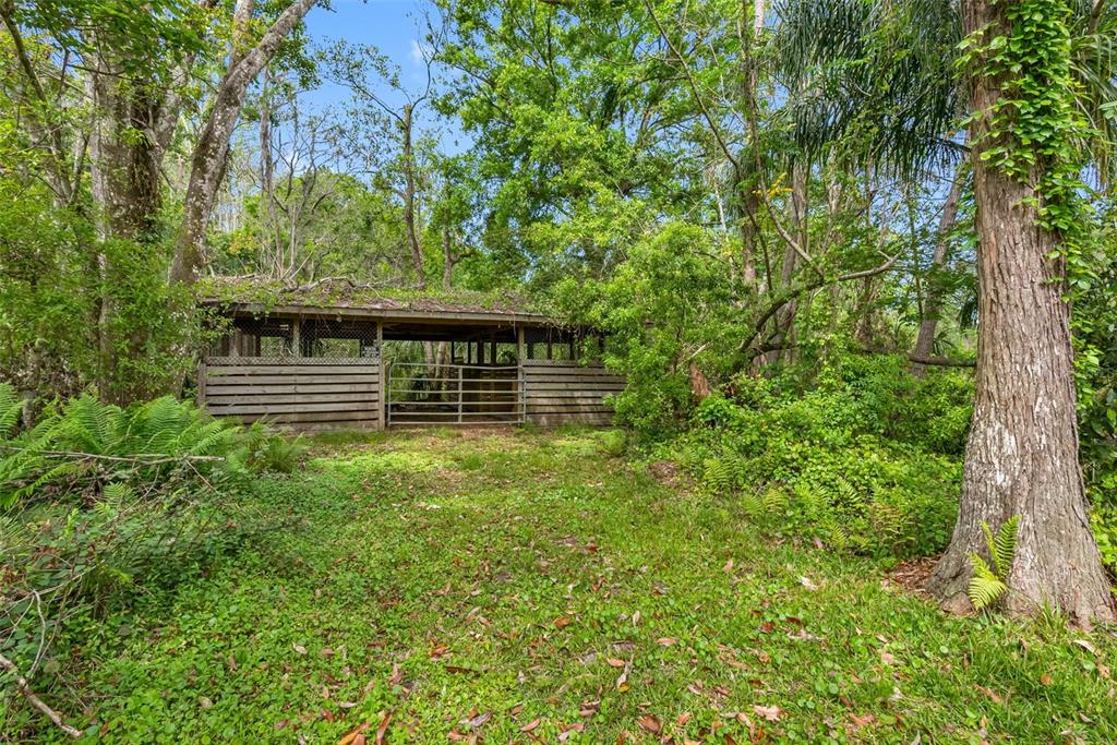 346 Ranch Road Tarpon Springs, FL 34688 - Photo 11 of 64 a view of outdoor space and yard from deck