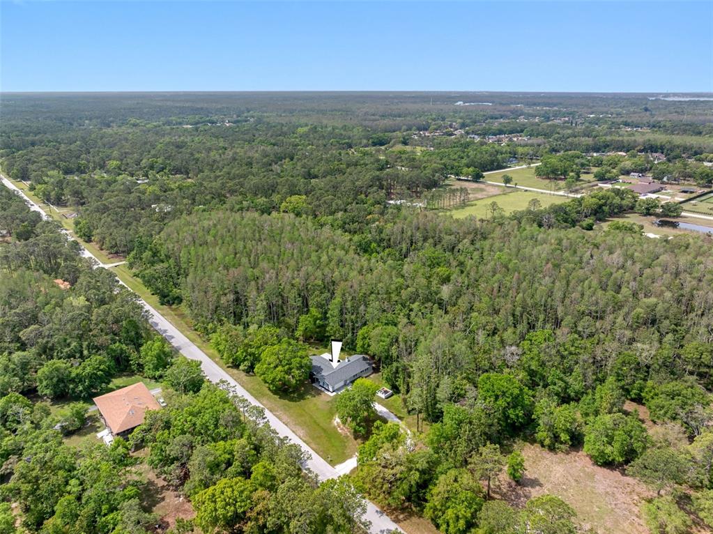 346 Ranch Road Tarpon Springs, FL 34688 - Photo 5 of 64 a view of a city with lush green forest