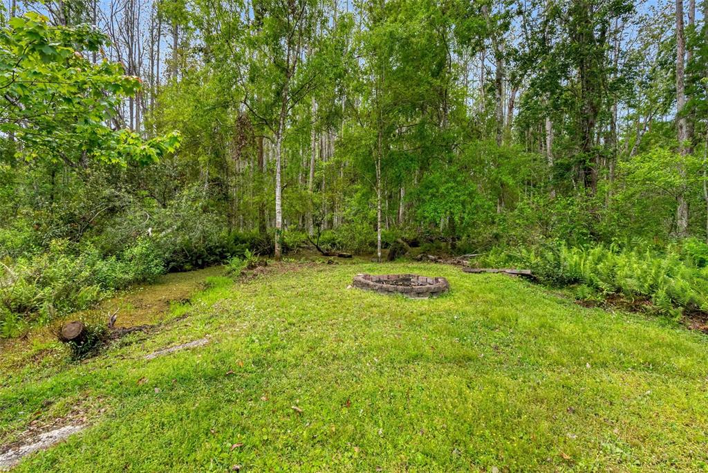 346 Ranch Road Tarpon Springs, FL 34688 - Photo 9 of 64 a view of swimming pool with a yard