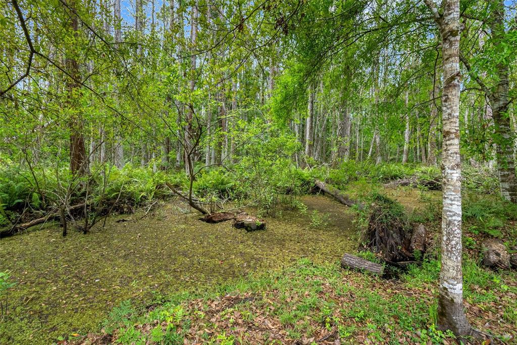 346 Ranch Road Tarpon Springs, FL 34688 - Photo 10 of 64