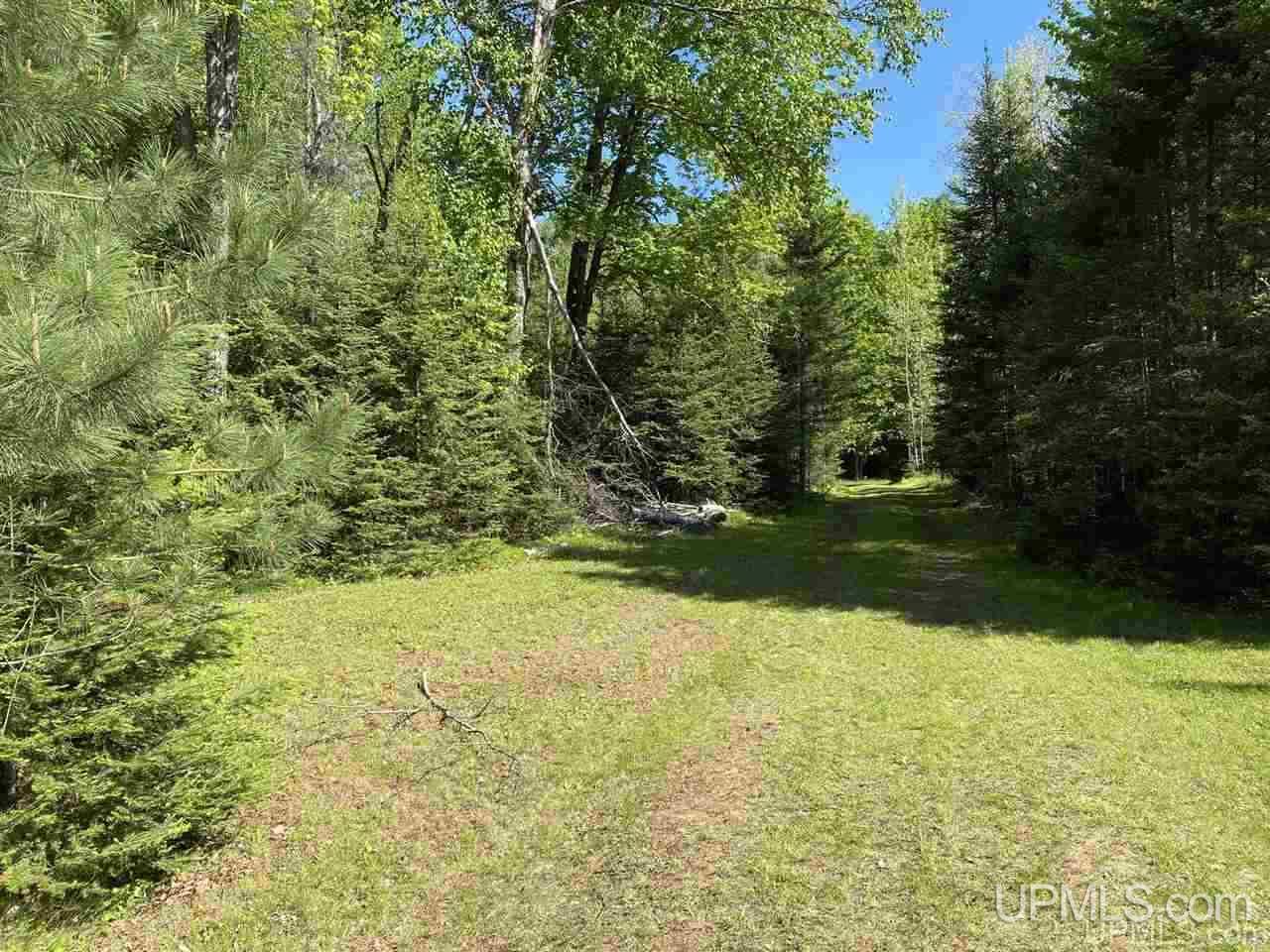 5373 Turtle Creek Road Florence, WI 54121 - Photo 13 of 15 Gallery Image 13