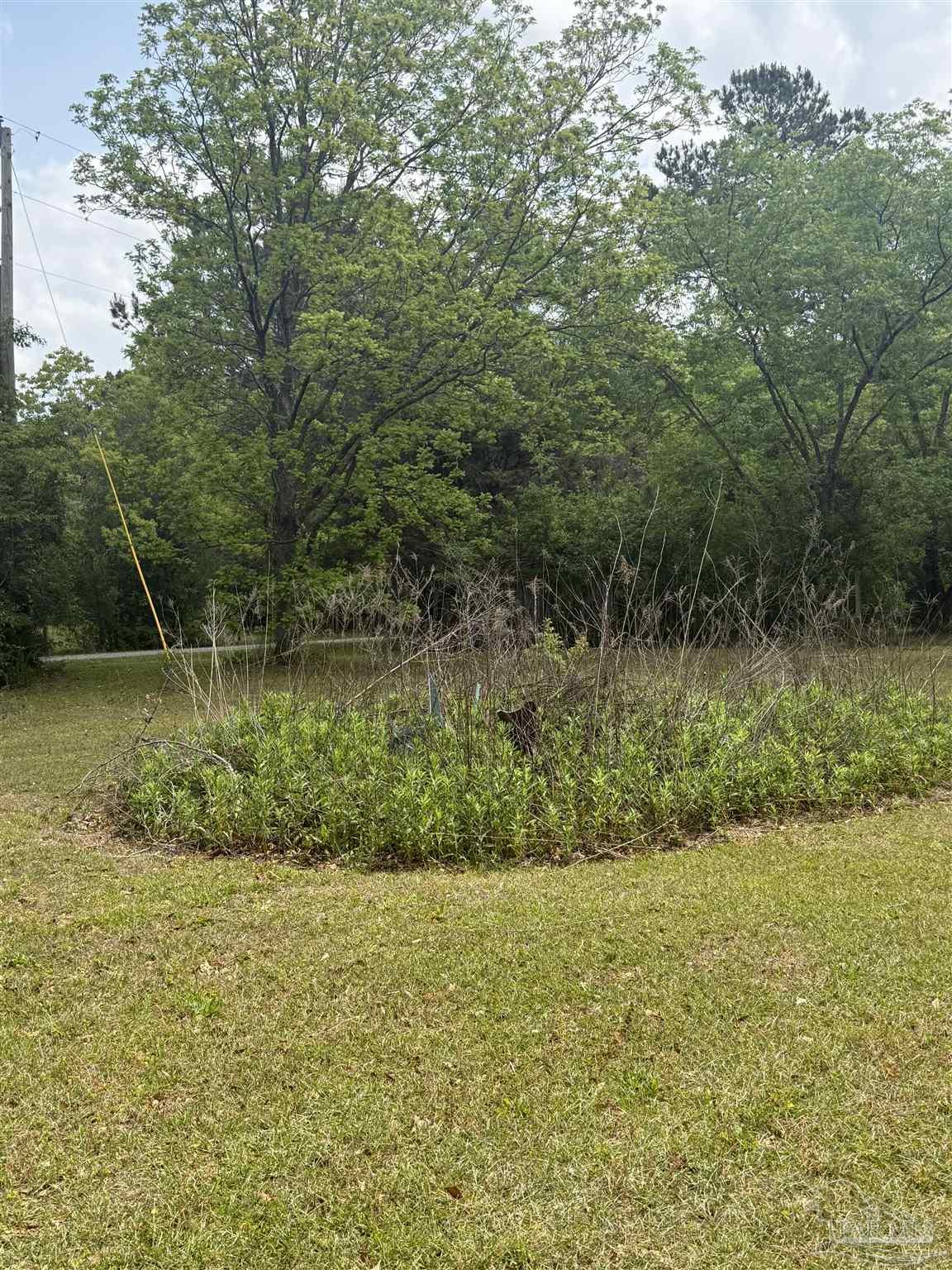 6042 Enfinger Road Pace, FL 32571 - Photo 7 of 10 a view of a garden with a bench