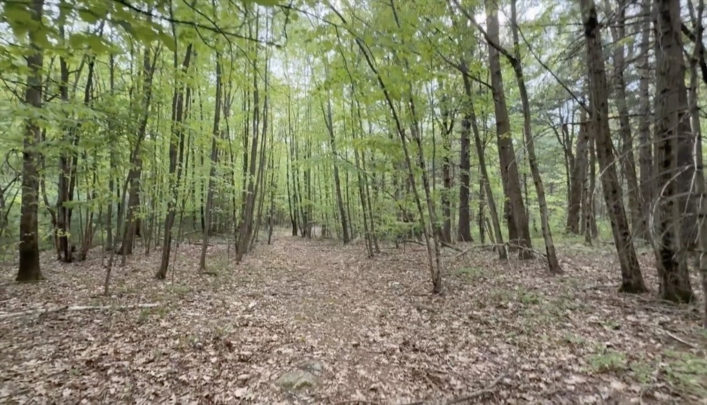 32 Hollow Road Wales, MA 01081 - Photo 22 of 35 a view of outdoor space with lots of trees