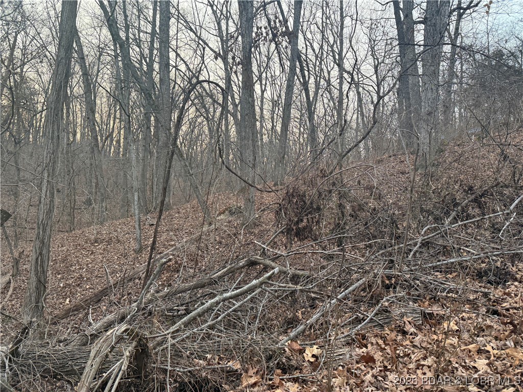 Tbd Glasgow Road Rocky Mount, MO 65072 - Photo 11 of 21