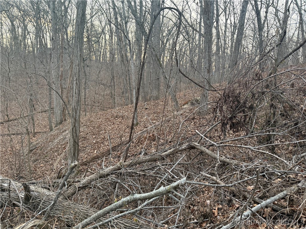 Tbd Glasgow Road Rocky Mount, MO 65072 - Photo 12 of 21