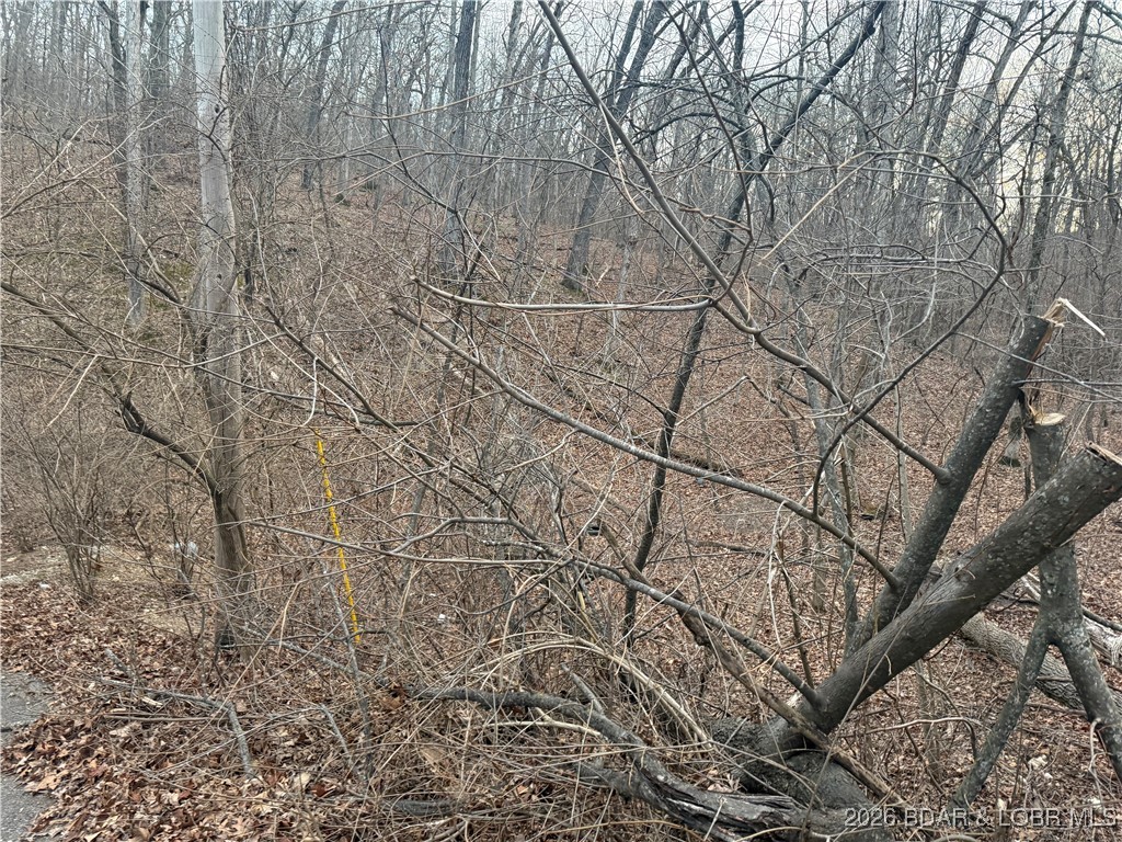 Tbd Glasgow Road Rocky Mount, MO 65072 - Photo 15 of 21