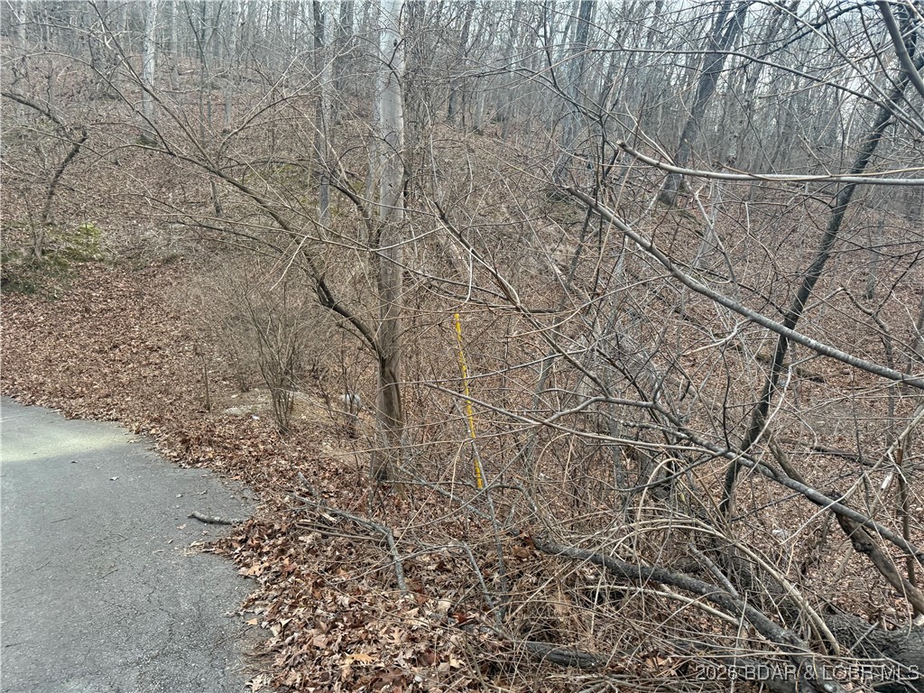 Tbd Glasgow Road Rocky Mount, MO 65072 - Photo 16 of 21