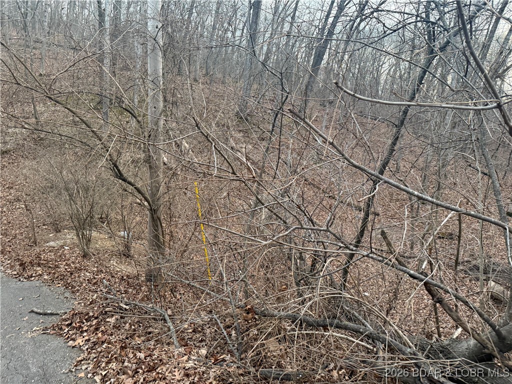 Tbd Glasgow Road Rocky Mount, MO 65072 - Photo 18 of 21