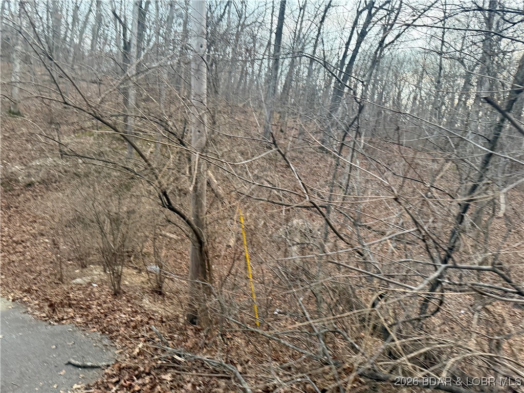 Tbd Glasgow Road Rocky Mount, MO 65072 - Photo 19 of 21