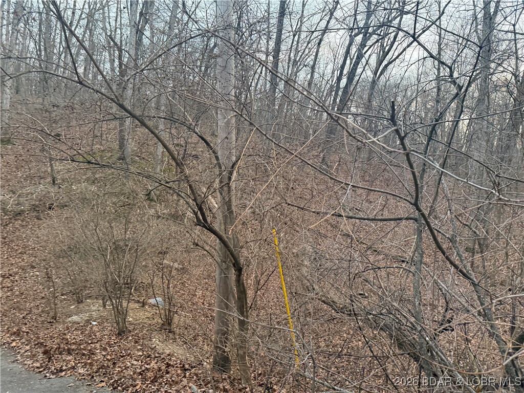 Tbd Glasgow Road Rocky Mount, MO 65072 - Photo 21 of 21