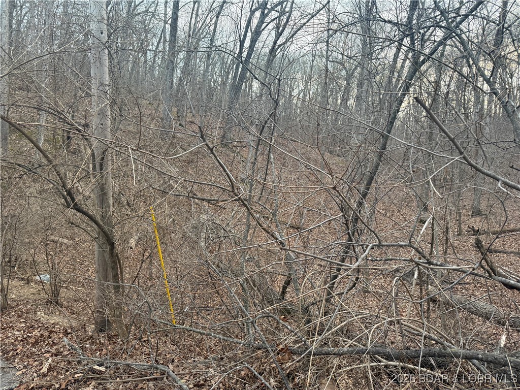 Tbd Glasgow Road Rocky Mount, MO 65072 - Photo 10 of 21