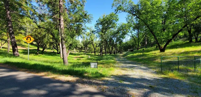 a big yard with lots of green space and plants
