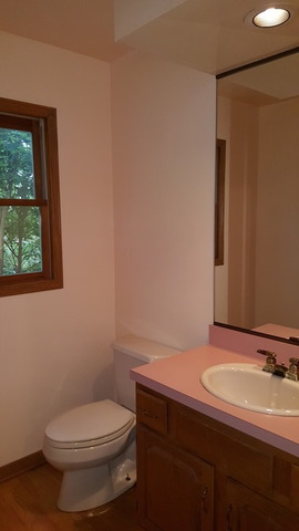 1102 Gulf Keys Road Streamwood, IL 60120 - Photo 15 of 25 a bathroom with a sink and a toilet