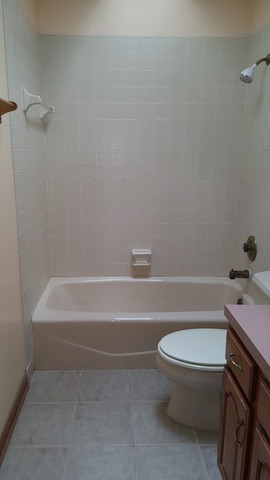 1102 Gulf Keys Road Streamwood, IL 60120 - Photo 20 of 25 a white toilet and tub sitting next to a bathroom sink
