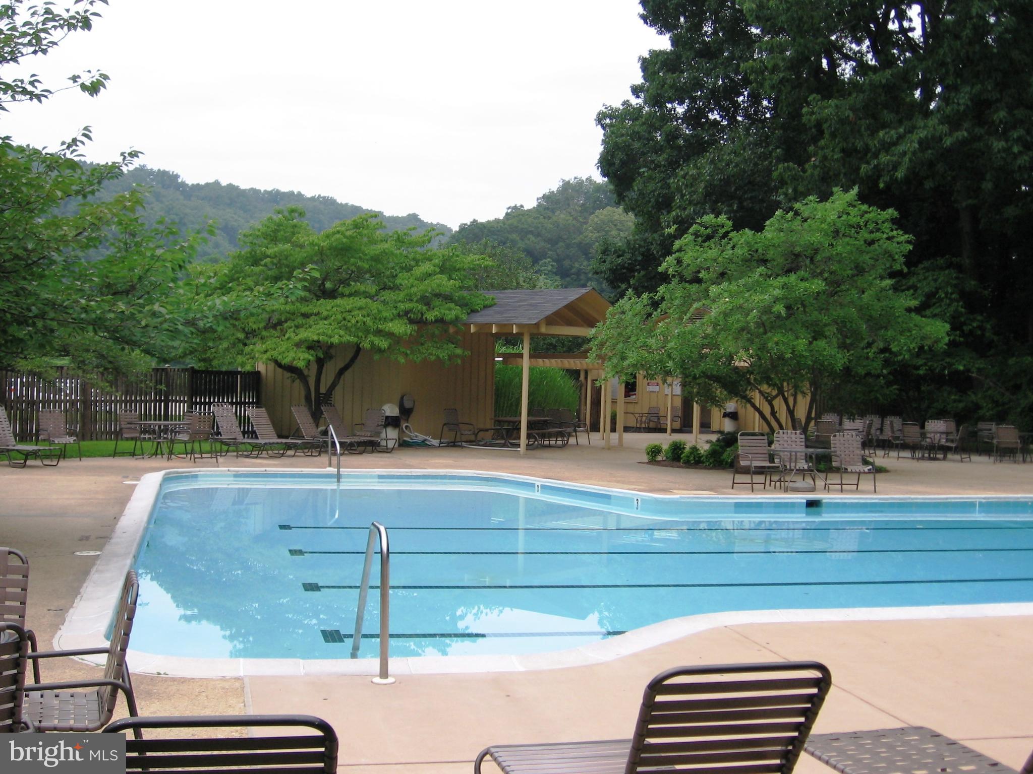 105 Cross Keys Road, Unit R105D Baltimore, MD 21210 - Photo 21 of 25 South Pool (largest pool = lap lanes)