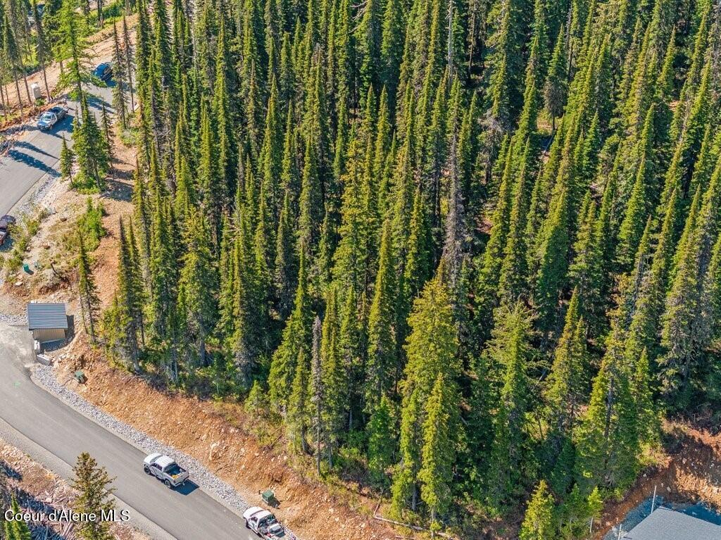 3 L 3 Sandpoint, ID 83864 - Photo 19 of 51 Lot from Above